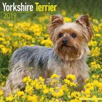 Yorkshire terrier calendar 2019