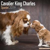 Cavalier king charles spaniel calendar 2019