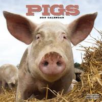 Pigs calendar 2019