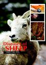 DISEASES OF SHEEP