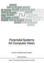 Pyramidal Systems for Computer Vision