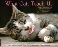 What Cats Teach Us Calendar: Life's Lessons Learned from Our Feline Friends