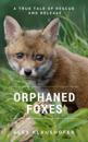 Orphaned Foxes