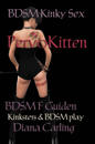 BDSM Kinky Sex - PervoKitten: Guiden Kinksters & BDSM play : BDSM-handbok för Kinksters, HBTQIA-personer och andra som vill utforska kinky sex och BDSM samt Fetisch play, Bondage, Dominans /undergivenhet eller är sadomasochister