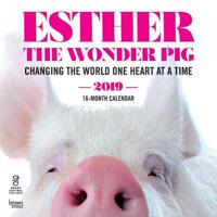Esther the Wonder Pig 2019 Calendar
