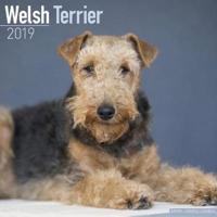 Welsh terrier calendar 2019