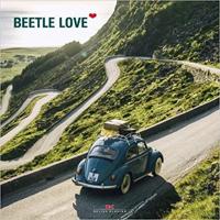Beetle Love