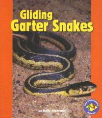 Gliding Garter Snakes