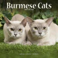 Burmese cats calendar 2019