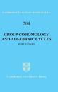 Group Cohomology and Algebraic Cycles