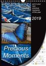 Precious Moments - put in your own precious moments 2019
