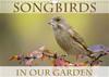 Songbirds in Our Garden 2019