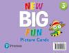New Big Fun - (AE) - 2nd Edition (2019) - Picture Cards - Level 3