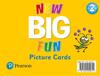New Big Fun - (AE) - 2nd Edition (2019) - Picture Cards - Level 2