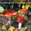 Looking for mushrooms 2019