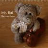Mr. Bud, the cute bear 2019