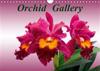 Orchid Gallery 2019