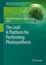 The Leaf: A Platform for Performing Photosynthesis