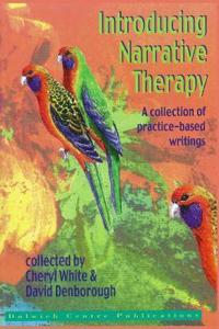 Introducing Narrative Therapy - Practice-Based Writings