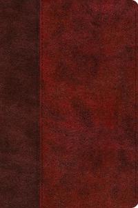 ESV Gospel Transformation Study Bible: Christ in All of Scripture, Grace for All of Life (Trutone, Burgundy/Red, Timeless Design): Christ in All of Sc