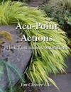 Acu-Point Actions