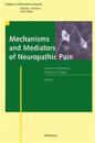 Mechanisms and Mediators of Neuropathic Pain