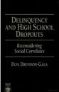 Delinquency and High School Dropouts