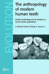 The Anthropology of Modern Human Teeth