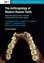 Anthropology of Modern Human Teeth