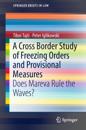 Cross Border Study of Freezing Orders and Provisional Measures