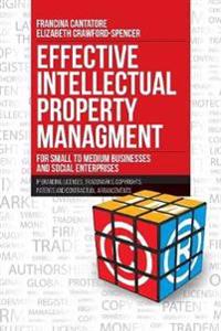 Effective Intellectual Property Management for Small to Medium Businesses and Social Enterprises