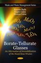 Borate-Tellurate Glasses