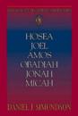 Abingdon Old Testament Commentaries: Hosea, Joel, Amos, Obadiah, Jonah, Micah