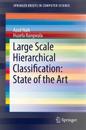 Large Scale Hierarchical Classification: State of the Art