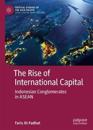 The Rise of International Capital
