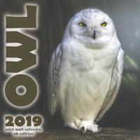 Owl 2019 Mini Wall Calendar (UK Edition)