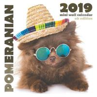 Pomeranian 2019 Mini Wall Calendar (UK Edition)