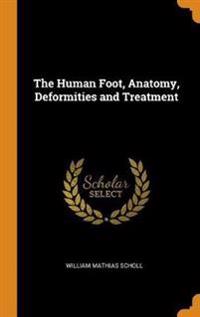 Human Foot, Anatomy, Deformities and Treatment