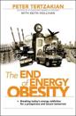 The End of Energy Obesity: Breaking Today's Energy Addiction for a Prospero