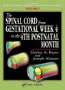Spinal Cord from Gestational Week 4 to the 4th Postnatal Month