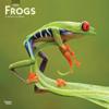Frogs 2020 Square Wall Calendar