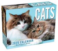 Cats 2020 Mini Day-to-Day Calendar