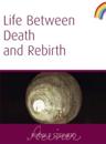 Life Between Death and Rebirth