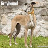 Greyhound Calendar 2020