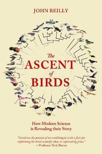 The Ascent of Birds