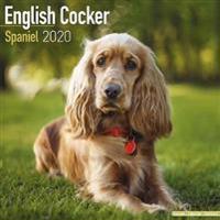 English Cocker Spaniel Calendar 2020
