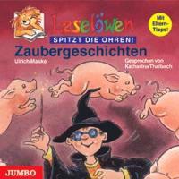 Leselöwen Zaubergeschichten. CD