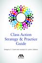 Class Action Strategy & Practice Guide