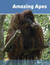Amazing Apes (ebook)
