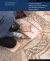 Lessons Learned – Reflecting on the Theory and Practice of Mosaic Conservation
